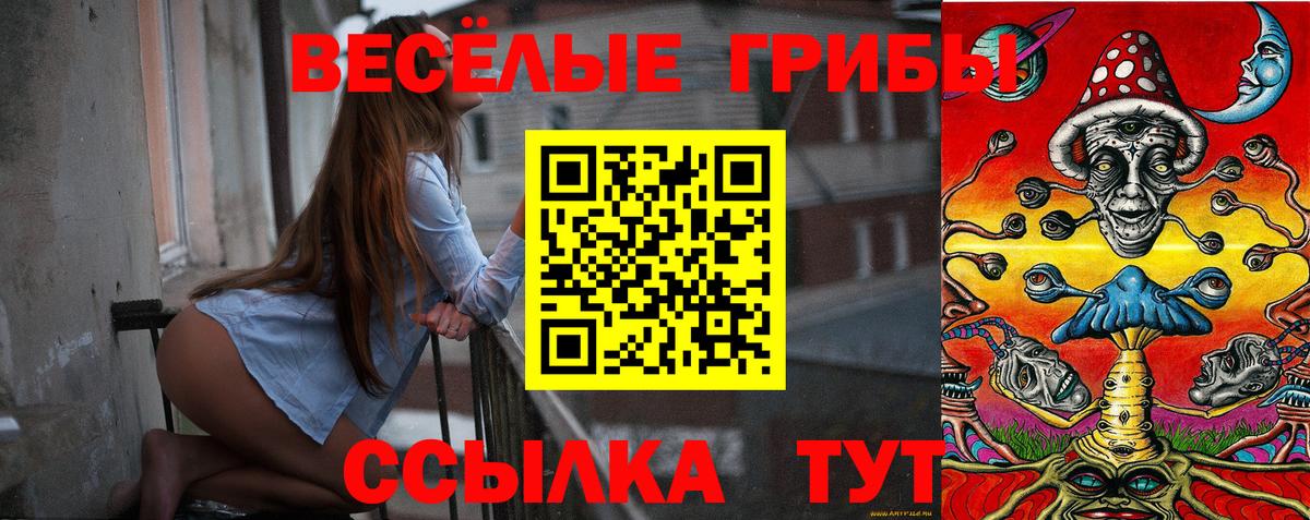 Псилоцибиновые грибы MAGIC MUSHROOMS  Вход с VPN  Королёв 