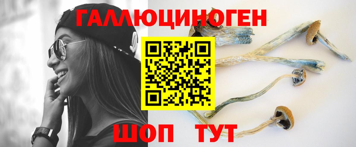 Псилоцибиновые грибы Psilocybe Королёв